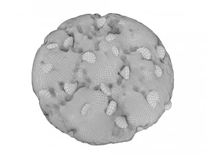 galleta con chispas de chocolate 01 Modelo 3D