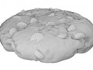 chocolate chip cookie 01 Model 3D