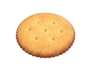 runder Cracker 3D Modell