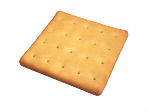galleta cuadrada Modelo 3D