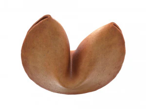 biscuit chinois Modèle 3D