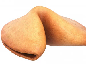 biscuit chinois Modèle 3D