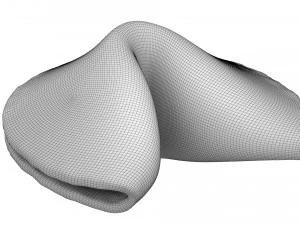 biscuit chinois Modèle 3D