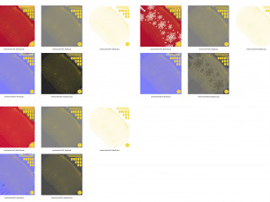 Christmas balls collection 3D 模型