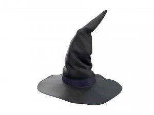 Chapeau de sorci&egrave;re Modèle 3D
