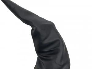 Chapeau de sorci&egrave;re Modèle 3D