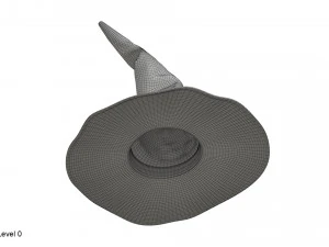 Chapeau de sorci&egrave;re Modèle 3D