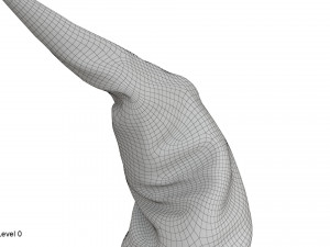 Witch hat Modelo 3D