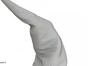 Chapeau de sorci&egrave;re Modèle 3D