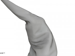 Witch hat Modelo 3D