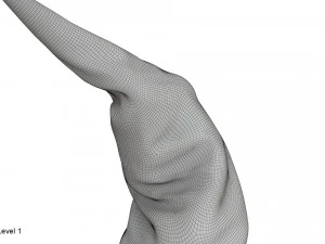 Chapeau de sorci&egrave;re Modèle 3D