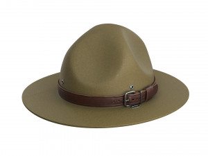Scout campaign hat 3D Model