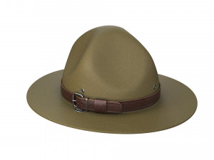Scout campaign hat 3D Model