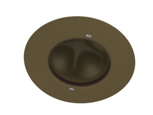 Scout campaign hat 3D Model