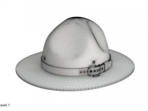 Scout campaign hat 3D Model