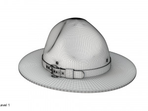Scout campaign hat 3D Model