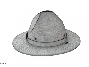 Scout campaign hat 3D Model