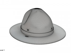 Scout campaign hat 3D Model
