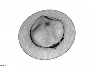Scout campaign hat 3D Model