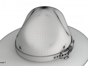 Scout campaign hat 3D Model