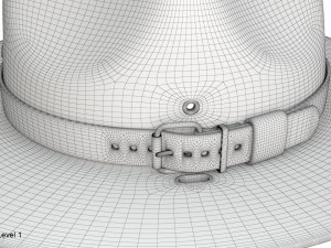 Scout campaign hat 3D Model