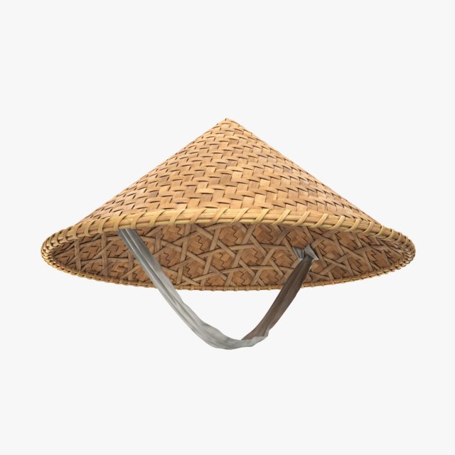 Asian bamboo hat 3D Model .c4d .max .obj .3ds .fbx .stl .blend 