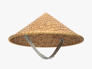 Азиатская бамбуковая шляпа 3D Модель