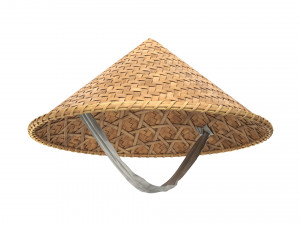 Asian bamboo hat 3D Model
