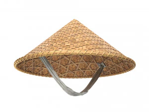 Cappello di bamb&ugrave; asiatico Modello 3D