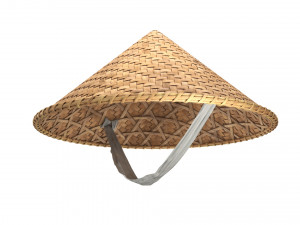 Asian bamboo hat 3D Model