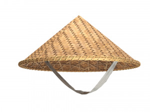 Asian bamboo hat 3D Model