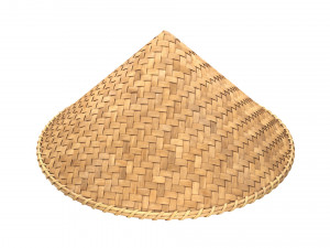 Asian bamboo hat 3D Model