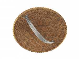Asian bamboo hat 3D Model