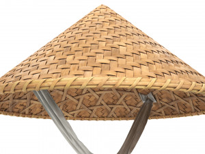 Asian bamboo hat 3D Model
