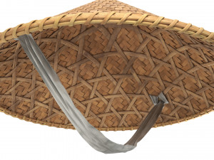 Asian bamboo hat 3D Model