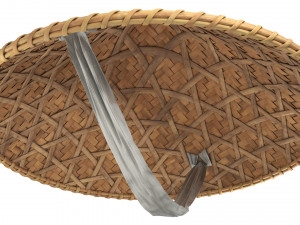 Asian bamboo hat 3D Model