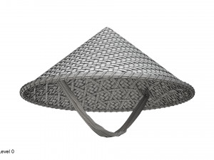 Asian bamboo hat 3D Model