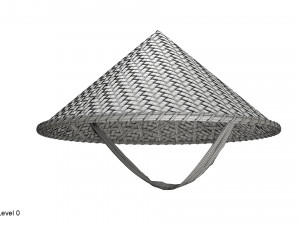 Asian bamboo hat 3D Model