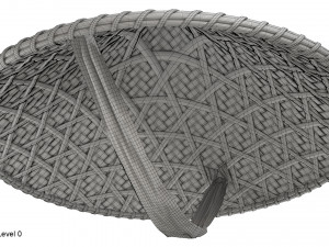 Asian bamboo hat 3D Model