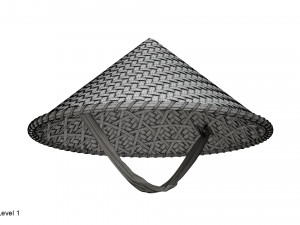 Asian bamboo hat 3D Model