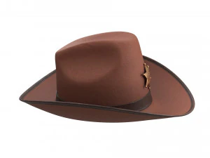 Kapelusz szeryfa Model 3D