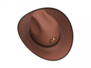 Kapelusz szeryfa Model 3D