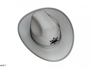 Kapelusz szeryfa Model 3D