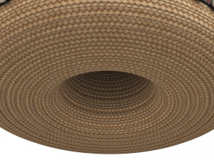 Sombrero Modelo 3D