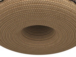 Sombrero 3D Modell