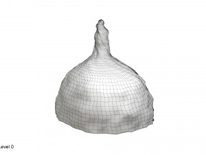 Tin foil hat 3D Model