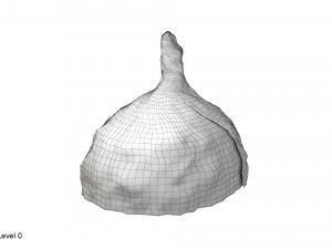 Tin foil hat 3D Model