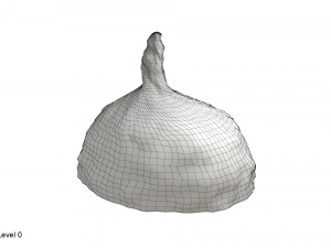 Tin foil hat 3D Model