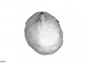Tin foil hat 3D Model