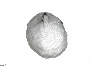 Sombrero de papel de aluminio Modelo 3D